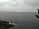 ./images/koeye/fitz-hugh/20181023/fitz-hugh20181023_185001.jpg