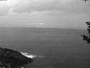 ./images/koeye/fitz-hugh/20181023/fitz-hugh20181023_185501.jpg