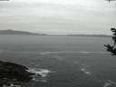 ./images/koeye/fitz-hugh/20181024/fitz-hugh20181024_073502.jpg