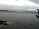 ./images/koeye/fitz-hugh/20181024/fitz-hugh20181024_102502.jpg