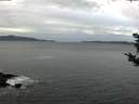 ./images/koeye/fitz-hugh/20181024/fitz-hugh20181024_103501.jpg