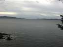 ./images/koeye/fitz-hugh/20181024/fitz-hugh20181024_104001.jpg