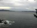 ./images/koeye/fitz-hugh/20181024/fitz-hugh20181024_104501.jpg