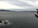 ./images/koeye/fitz-hugh/20181024/fitz-hugh20181024_110501.jpg