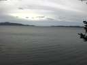 ./images/koeye/fitz-hugh/20181024/fitz-hugh20181024_122501.jpg