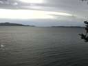 ./images/koeye/fitz-hugh/20181024/fitz-hugh20181024_131002.jpg