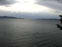 ./images/koeye/fitz-hugh/20181024/fitz-hugh20181024_132502.jpg