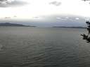 ./images/koeye/fitz-hugh/20181024/fitz-hugh20181024_134001.jpg