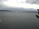 ./images/koeye/fitz-hugh/20181024/fitz-hugh20181024_135501.jpg