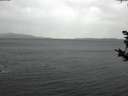 ./images/koeye/fitz-hugh/20181024/fitz-hugh20181024_142501.jpg