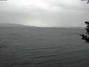 ./images/koeye/fitz-hugh/20181024/fitz-hugh20181024_144001.jpg