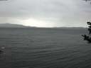 ./images/koeye/fitz-hugh/20181024/fitz-hugh20181024_145001.jpg