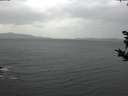 ./images/koeye/fitz-hugh/20181024/fitz-hugh20181024_151001.jpg