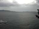 ./images/koeye/fitz-hugh/20181024/fitz-hugh20181024_151501.jpg