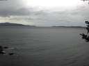 ./images/koeye/fitz-hugh/20181024/fitz-hugh20181024_154002.jpg