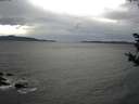 ./images/koeye/fitz-hugh/20181024/fitz-hugh20181024_155502.jpg