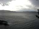 ./images/koeye/fitz-hugh/20181024/fitz-hugh20181024_164002.jpg