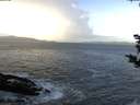 ./images/koeye/fitz-hugh/20181025/fitz-hugh20181025_092501.jpg