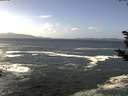 ./images/koeye/fitz-hugh/20181025/fitz-hugh20181025_123501.jpg