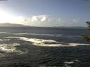 ./images/koeye/fitz-hugh/20181025/fitz-hugh20181025_131002.jpg