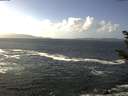 ./images/koeye/fitz-hugh/20181025/fitz-hugh20181025_134502.jpg