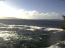 ./images/koeye/fitz-hugh/20181025/fitz-hugh20181025_135501.jpg