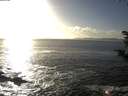 ./images/koeye/fitz-hugh/20181025/fitz-hugh20181025_163502.jpg