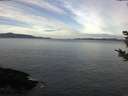 ./images/koeye/fitz-hugh/20181027/fitz-hugh20181027_094002.jpg