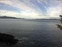 ./images/koeye/fitz-hugh/20181027/fitz-hugh20181027_095002.jpg
