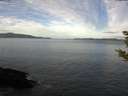 ./images/koeye/fitz-hugh/20181027/fitz-hugh20181027_095502.jpg