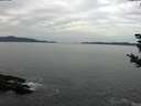 ./images/koeye/fitz-hugh/20181027/fitz-hugh20181027_112001.jpg