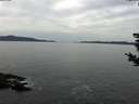 ./images/koeye/fitz-hugh/20181027/fitz-hugh20181027_114001.jpg