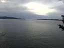 ./images/koeye/fitz-hugh/20181027/fitz-hugh20181027_160502.jpg