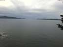 ./images/koeye/fitz-hugh/20181027/fitz-hugh20181027_163501.jpg