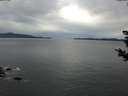 ./images/koeye/fitz-hugh/20181027/fitz-hugh20181027_171501.jpg