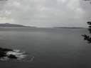 ./images/koeye/fitz-hugh/20181027/fitz-hugh20181027_181501.jpg