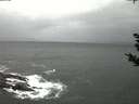 ./images/koeye/fitz-hugh/20181028/fitz-hugh20181028_075001.jpg