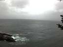 ./images/koeye/fitz-hugh/20181028/fitz-hugh20181028_080501.jpg