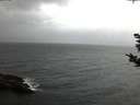 ./images/koeye/fitz-hugh/20181028/fitz-hugh20181028_081001.jpg