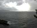 ./images/koeye/fitz-hugh/20181028/fitz-hugh20181028_094002.jpg