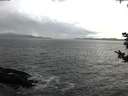 ./images/koeye/fitz-hugh/20181028/fitz-hugh20181028_094502.jpg