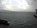 ./images/koeye/fitz-hugh/20181028/fitz-hugh20181028_095502.jpg
