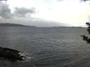 ./images/koeye/fitz-hugh/20181028/fitz-hugh20181028_104501.jpg