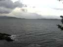 ./images/koeye/fitz-hugh/20181028/fitz-hugh20181028_114501.jpg