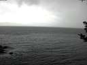./images/koeye/fitz-hugh/20181028/fitz-hugh20181028_124002.jpg