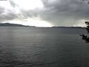 ./images/koeye/fitz-hugh/20181028/fitz-hugh20181028_144501.jpg
