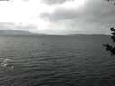 ./images/koeye/fitz-hugh/20181028/fitz-hugh20181028_161501.jpg