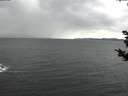 ./images/koeye/fitz-hugh/20181028/fitz-hugh20181028_162501.jpg