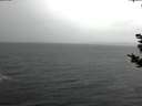 ./images/koeye/fitz-hugh/20181028/fitz-hugh20181028_164501.jpg