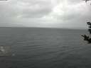 ./images/koeye/fitz-hugh/20181028/fitz-hugh20181028_171001.jpg